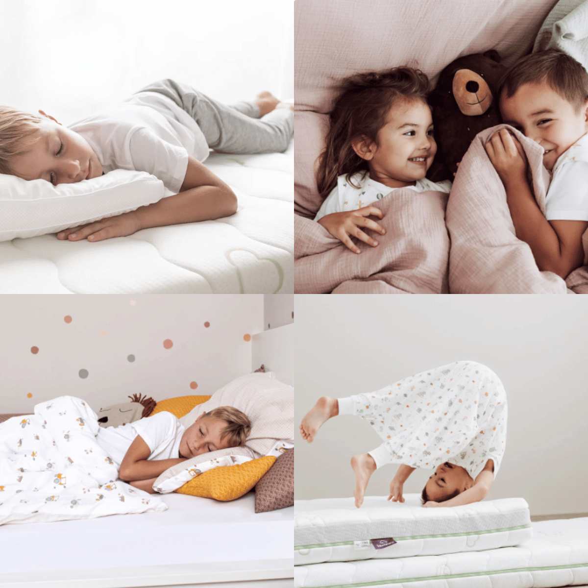 BLOG - fotka v článku - 2025-06-10T115446.035